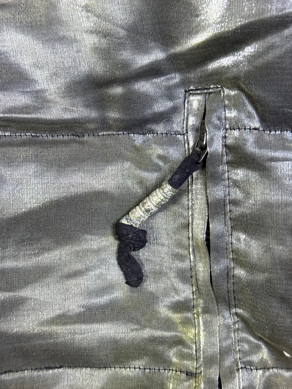 Y