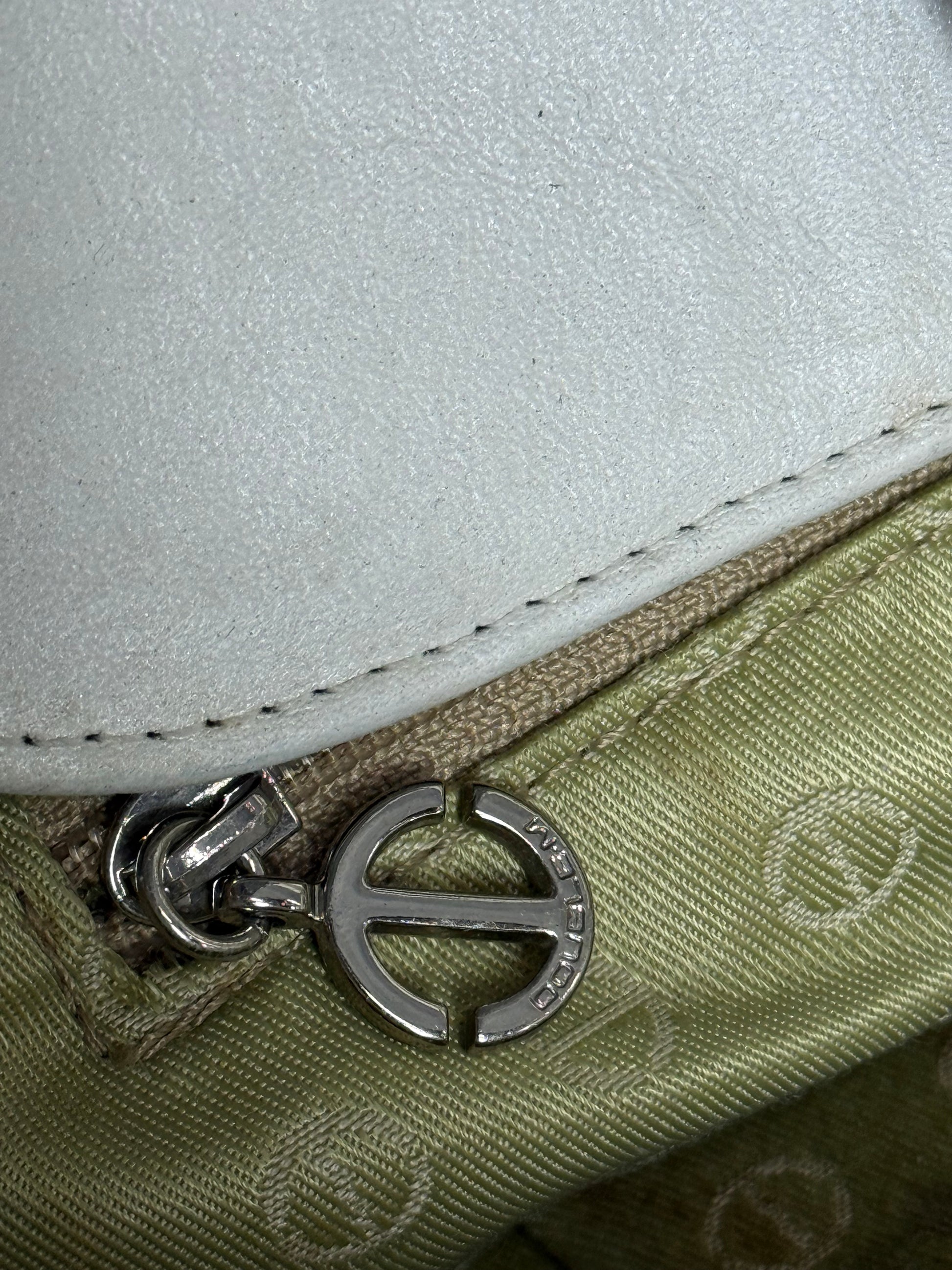 Snake Leather Bag
